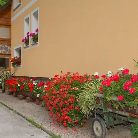 Apartma Erlah *