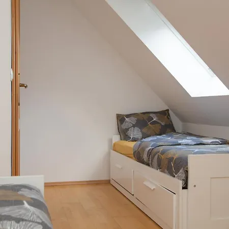 Apartma Erlah *
